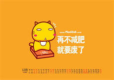 猫咪段子账号密码共享大全
